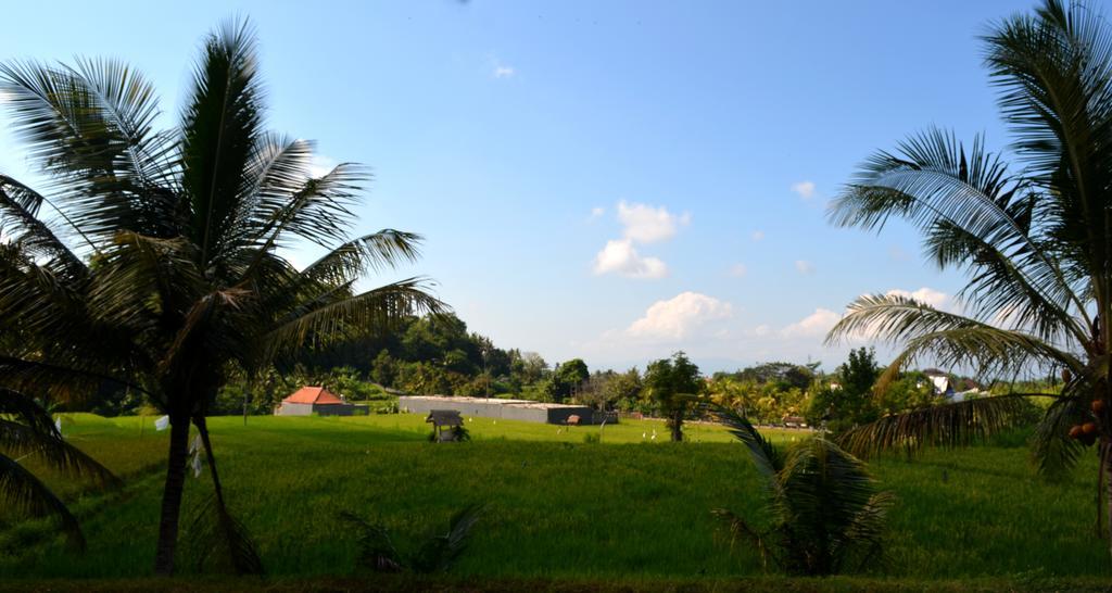 Wahyu Dewata Hotel Payangan Exterior foto